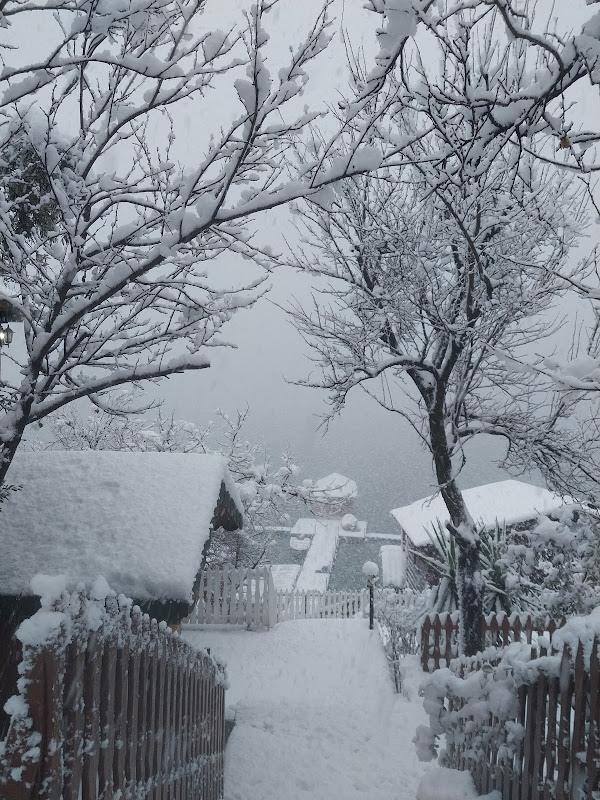 Artvin Sofrasi Marina Konaklama Tesisi
