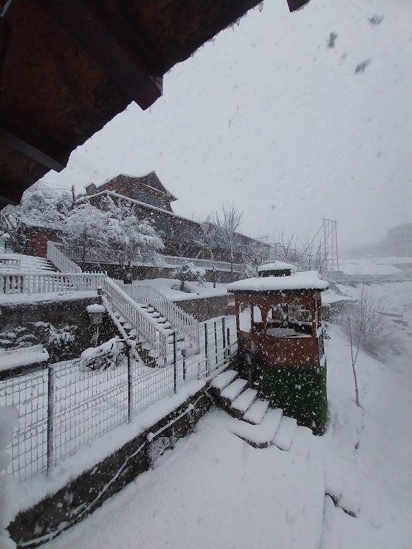 Artvin Sofrasi Marina Konaklama Tesisi