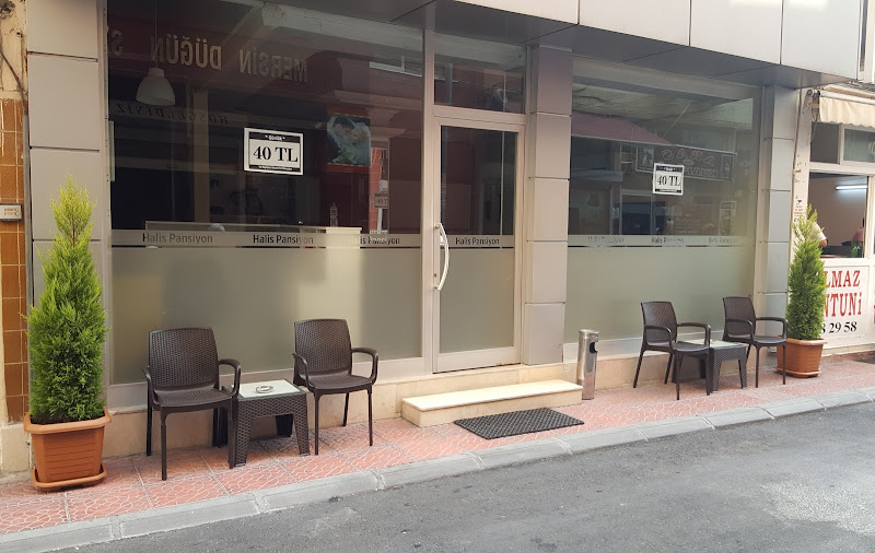 Halis Hostel