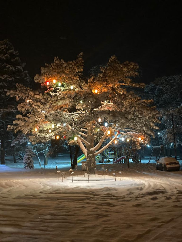 The Sign Esentepe Hotel & Ski Center