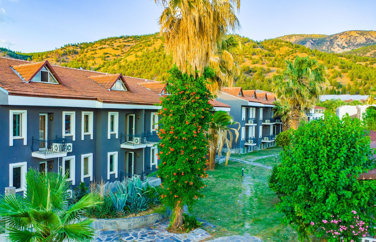 Villa Lycus Hotel