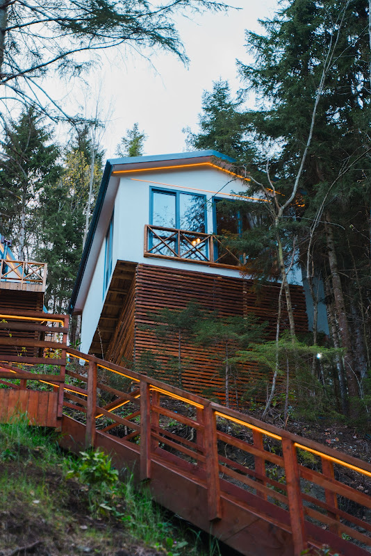 Montana Suıte Bungalow Trabzon