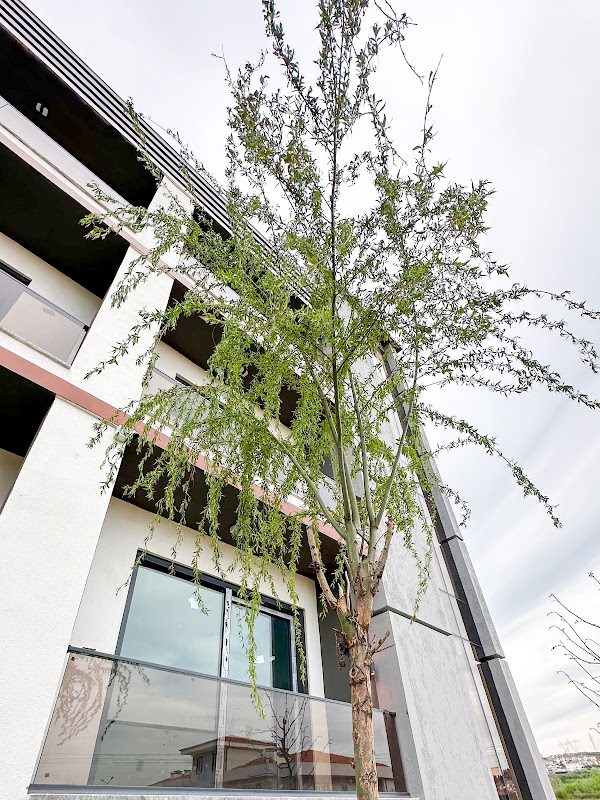 Perla Residence Serdivan