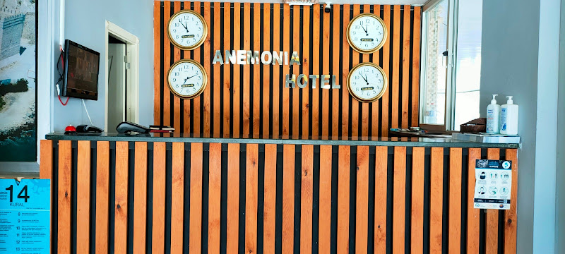 Hotel ANEMONIA