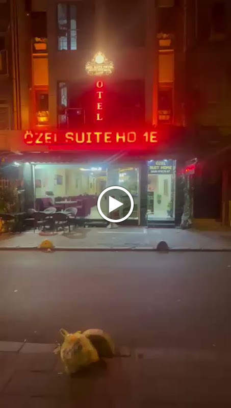 Ozel Suite Hotel