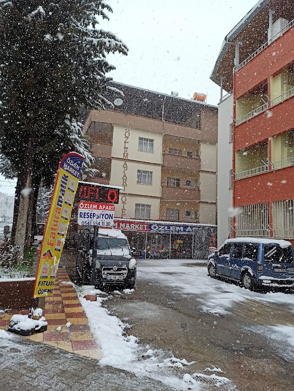 ÖZLEM APART (PANSİYON) KALORİFERLİ ILICA