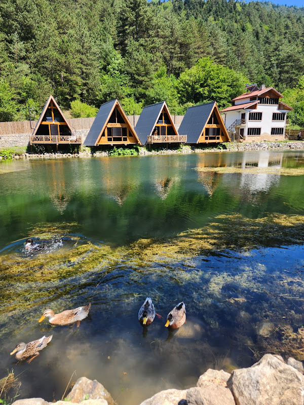 Abant Vadi Bungalov Ve Dağ Evleri