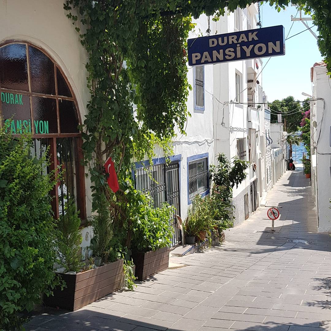 The Professor's Hotel