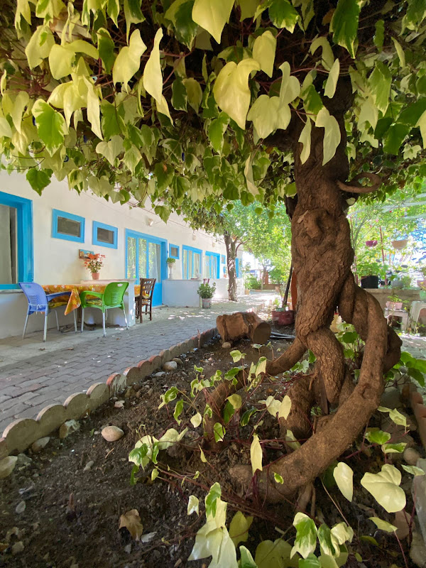 Hancı Butik Otel - Pansiyon & Akçay Otel-Akçay Pansiyon