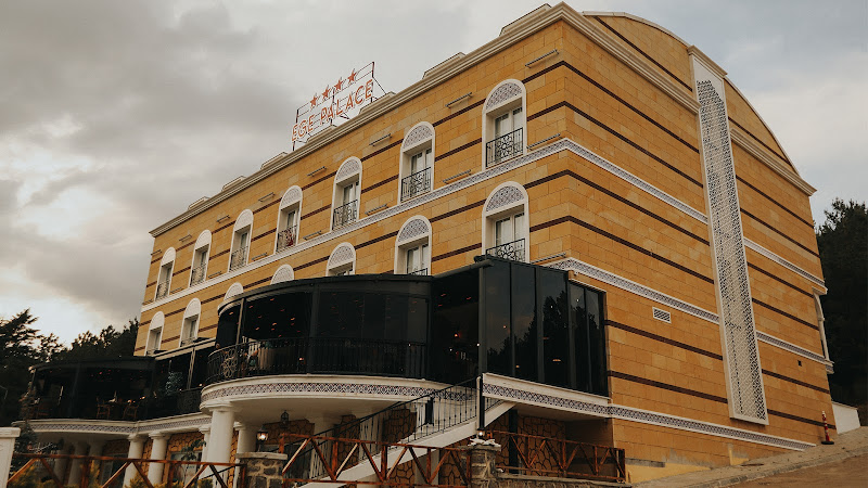 Ege Palace Termal Hotel