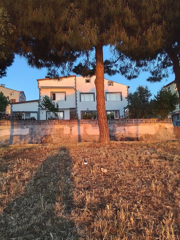 Gerze Beyaz Yalı Tatil Evi