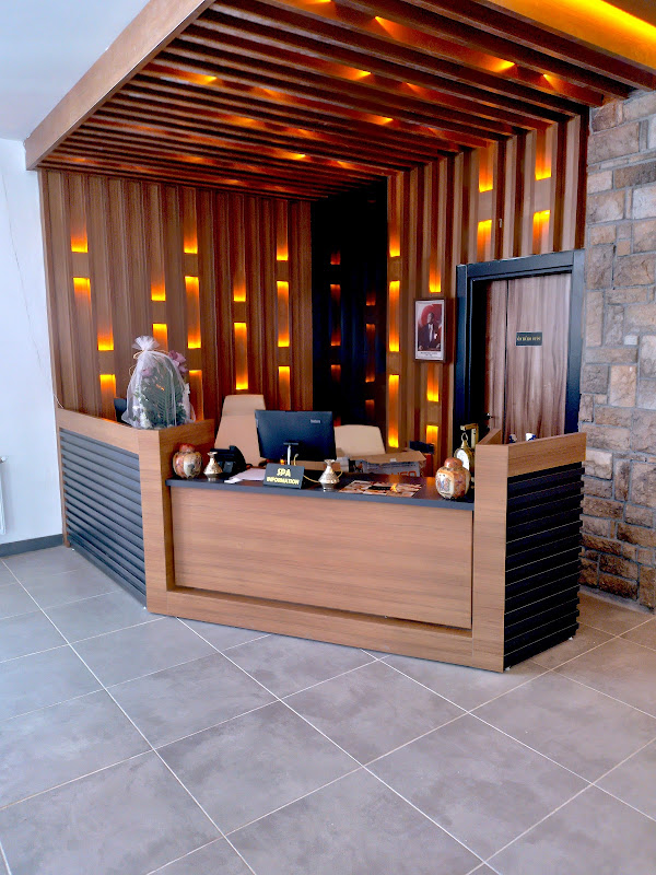 Metinoglu Pansiyon (Chalet Khione) Sarıkamıs