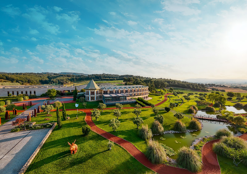 Hotel Caeli & Caeli Winery