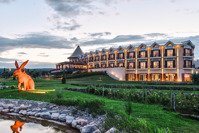 Hotel Caeli & Caeli Winery