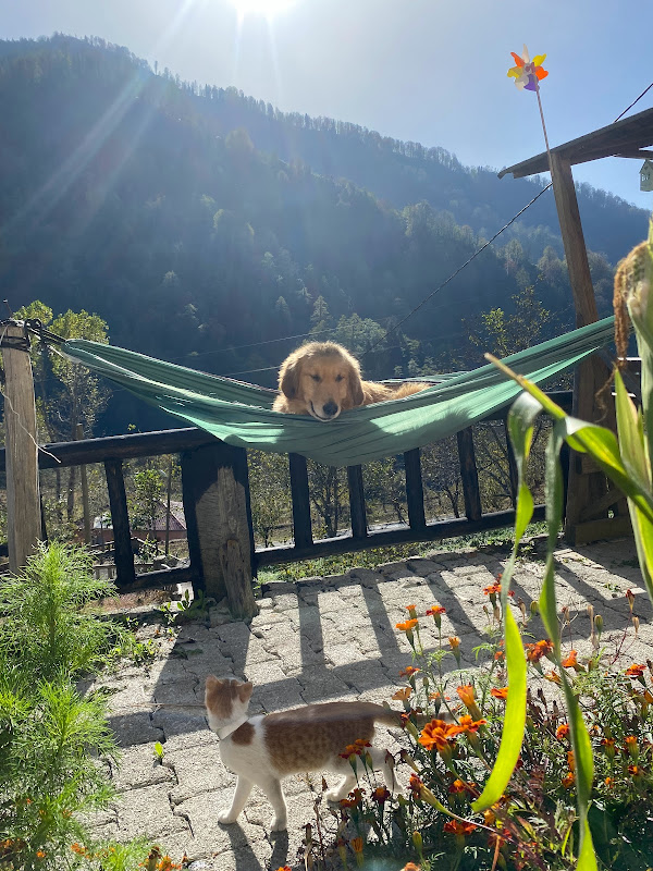 AYMER Butik Otel & Kafe & Restoran