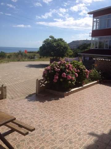 Peace Pensions Sinop