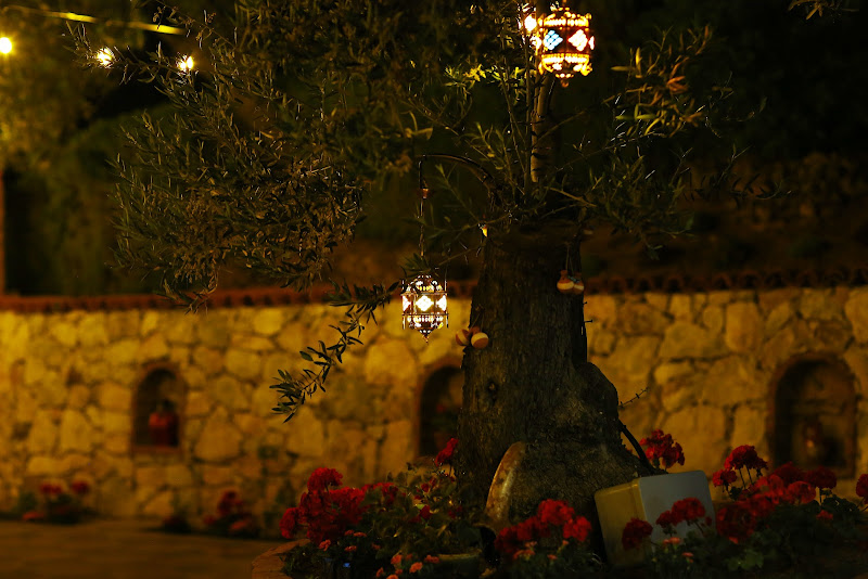 Zeytunihan Butik Otel