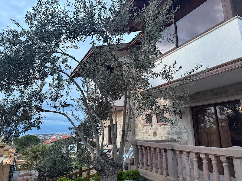 Asgard Deluxe Boutique-Hotel