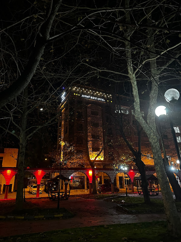 Avni Bey Hotel