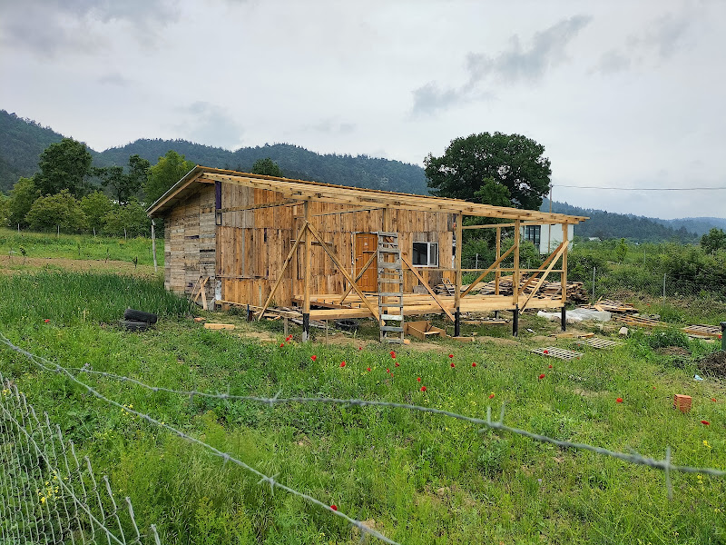 Bişginler villaları