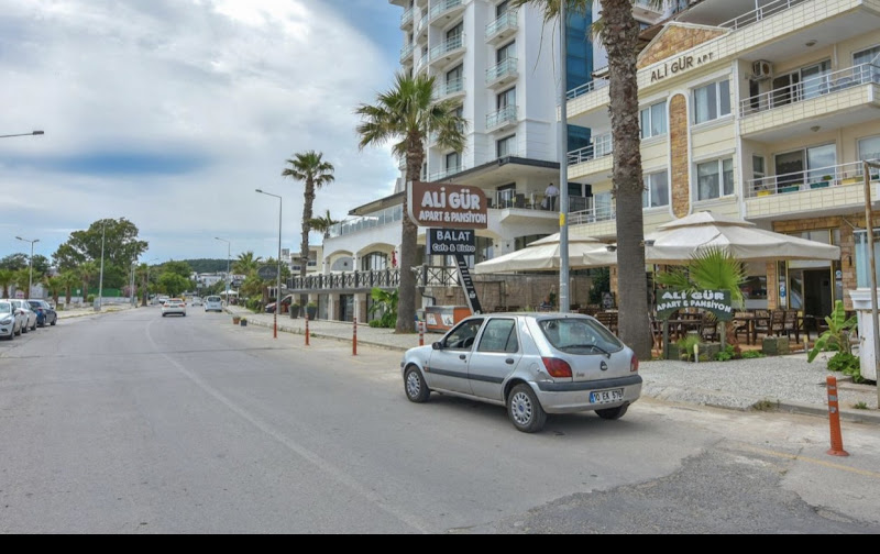 GUR APARTMENTS AND PENSION ALI