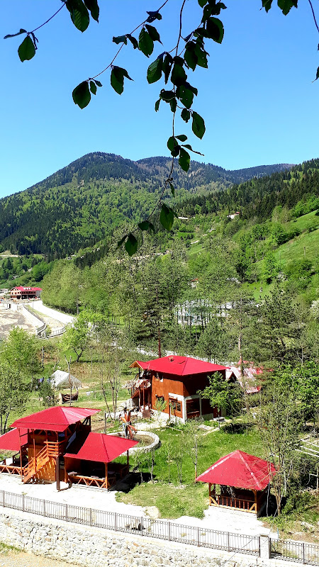 Yesilyayla Eko Turizm ve Konaklama