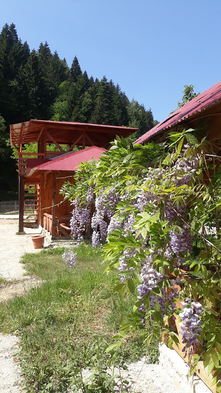 Yesilyayla Eko Turizm ve Konaklama