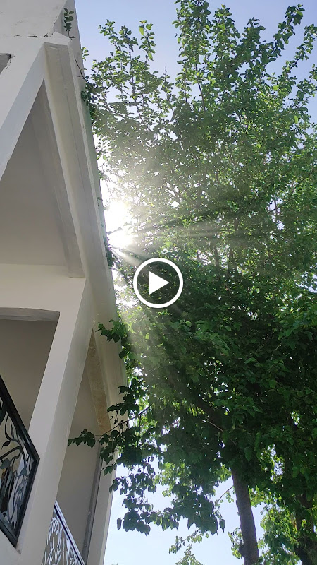 Pin Traveler House & Cocktails