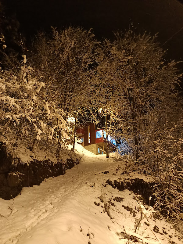 NAZENDE BUNGALOV & DAĞ EVİ