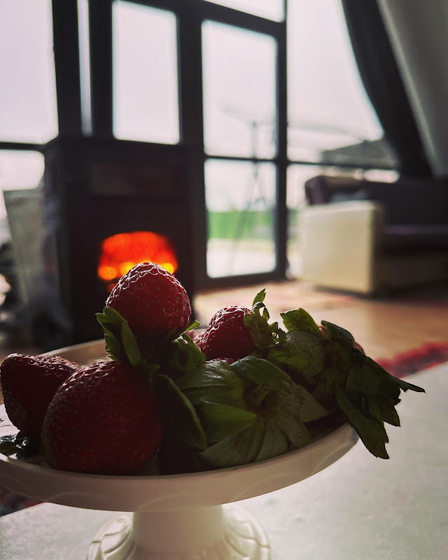 Erzurum Bungalov Otel