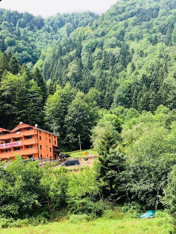 Beşevler Bungalov Hotel - Uzungöl