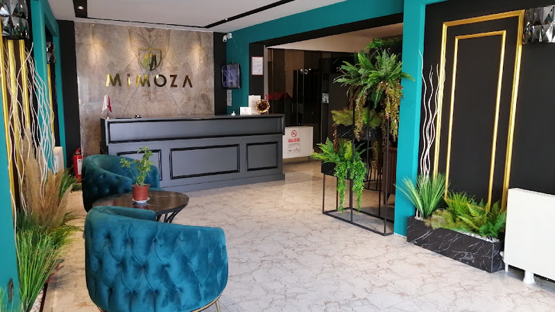 Mimoza Rezidans Talas