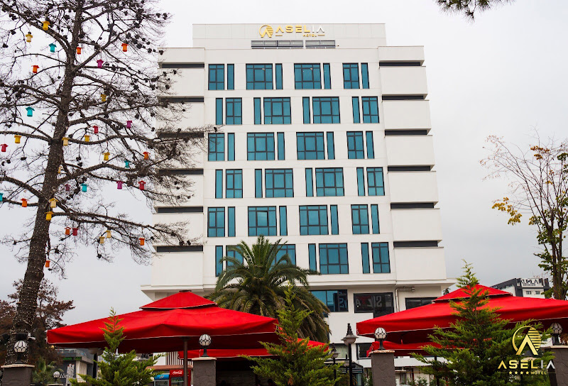 Aselia Hotel Trabzon