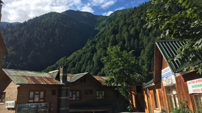 Ayder Yeşil Vadi Otel