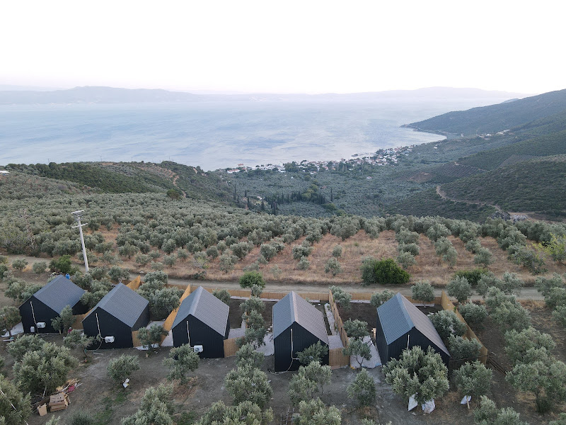 Nilüfer Narlı Bungalov’s