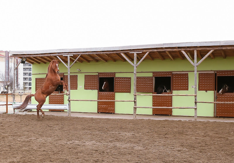 Afyon Dündar Termal Otel, Afyon Kaplıca Villa Oteli