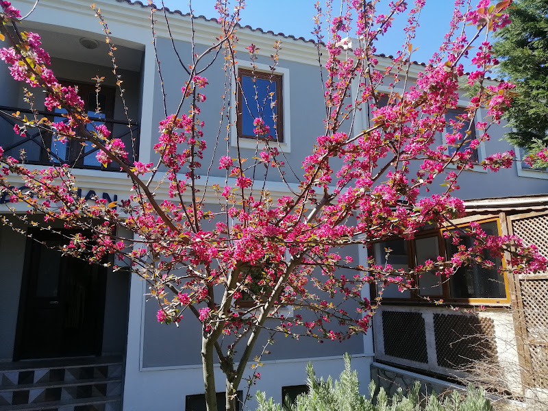 Ege Han Butik Otel / Aegea Inn