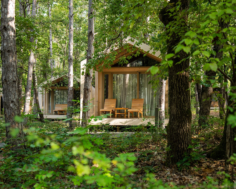 Longosphere Glamping