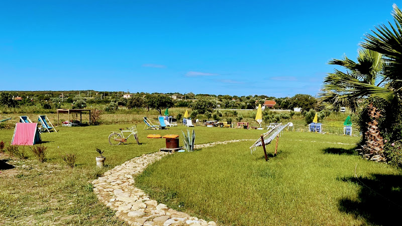 Cardinal Vineyard House