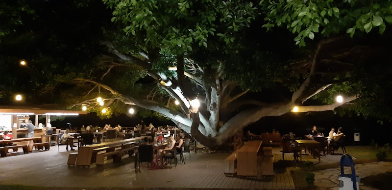 Marvel Tree Beach Hotel