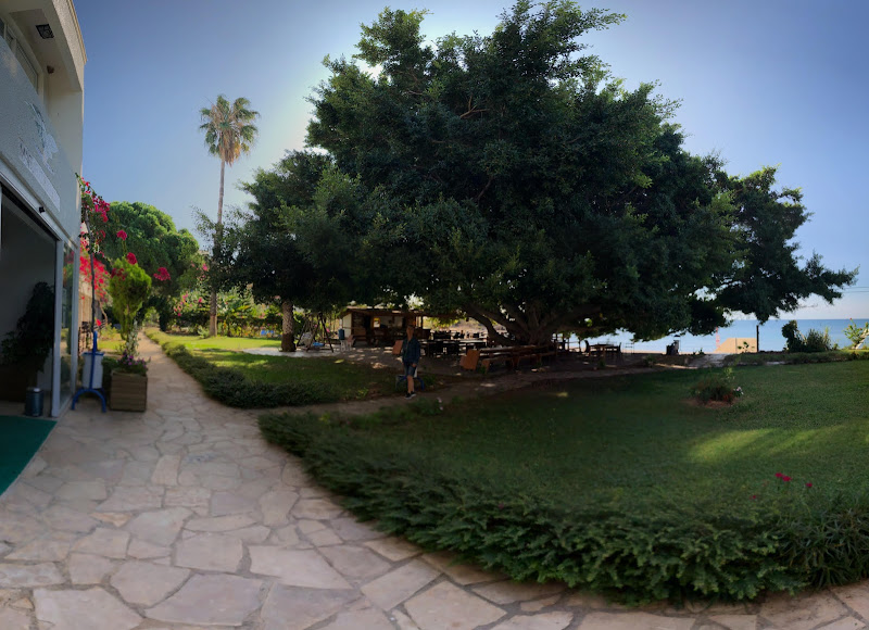 Marvel Tree Beach Hotel