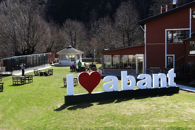 Abant Bahçeli Köşk Bungalow