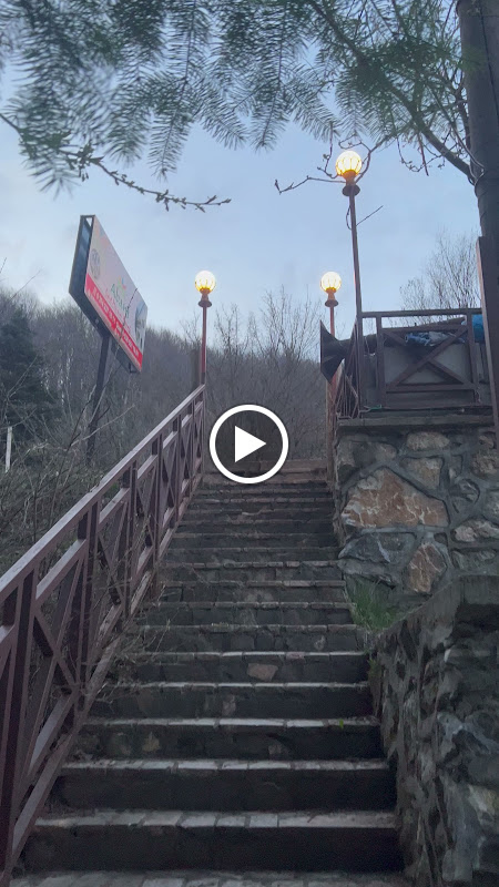 Abant Dört Mevsim Konağı (Alkolsüz Müessese)