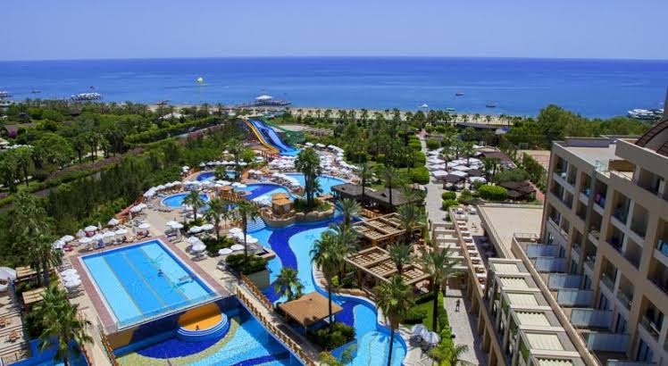 Delphin Diva Premiere