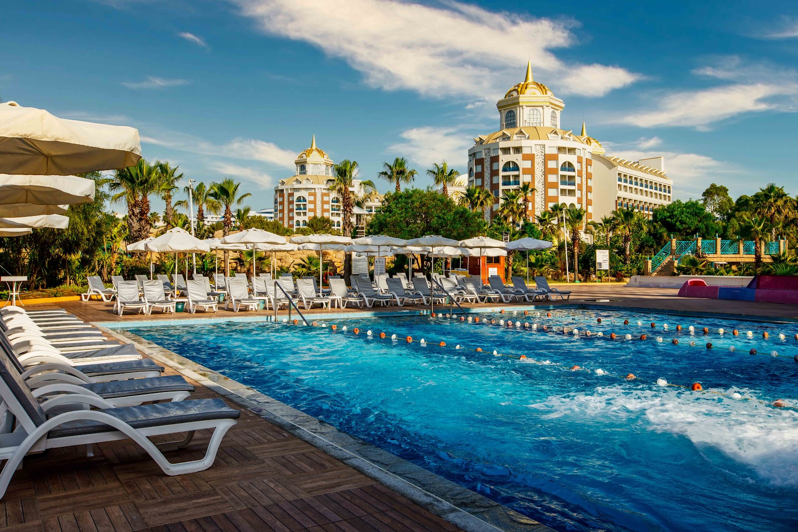 Delphin Diva Premiere