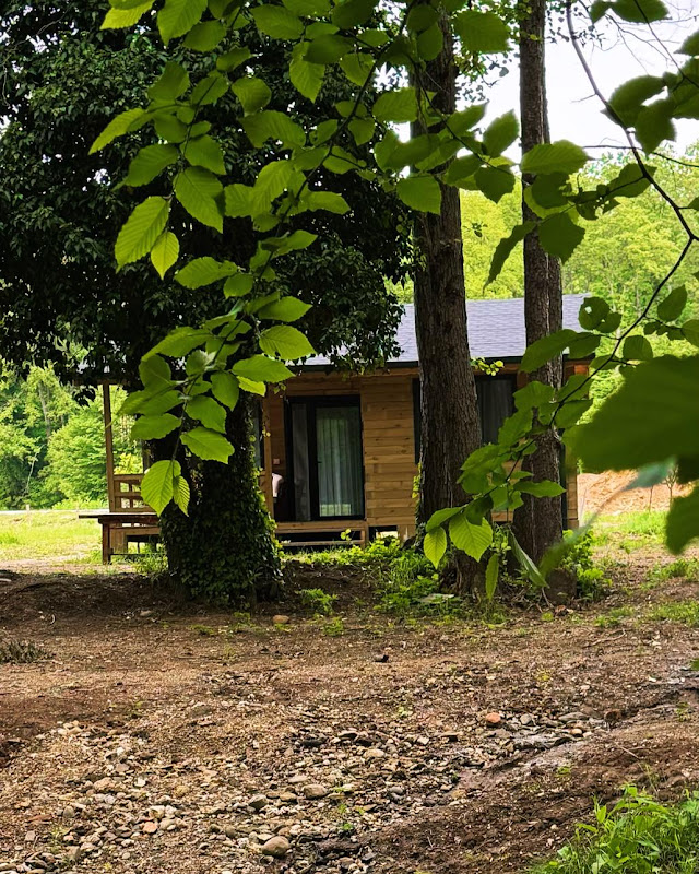 Kasaba iğneada bungalov