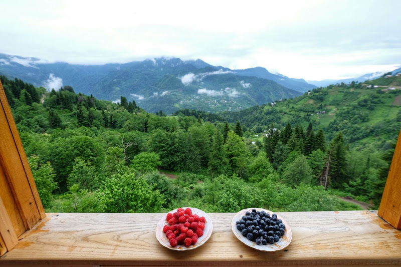 Macahela Village House