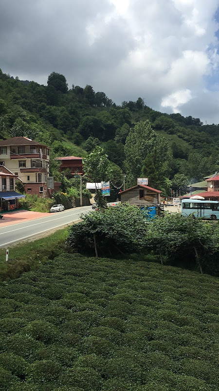 Lombane Apart Daire (53-3)