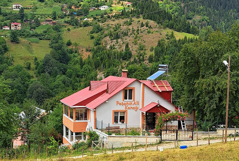 Paşanın Ali Konağı Apart