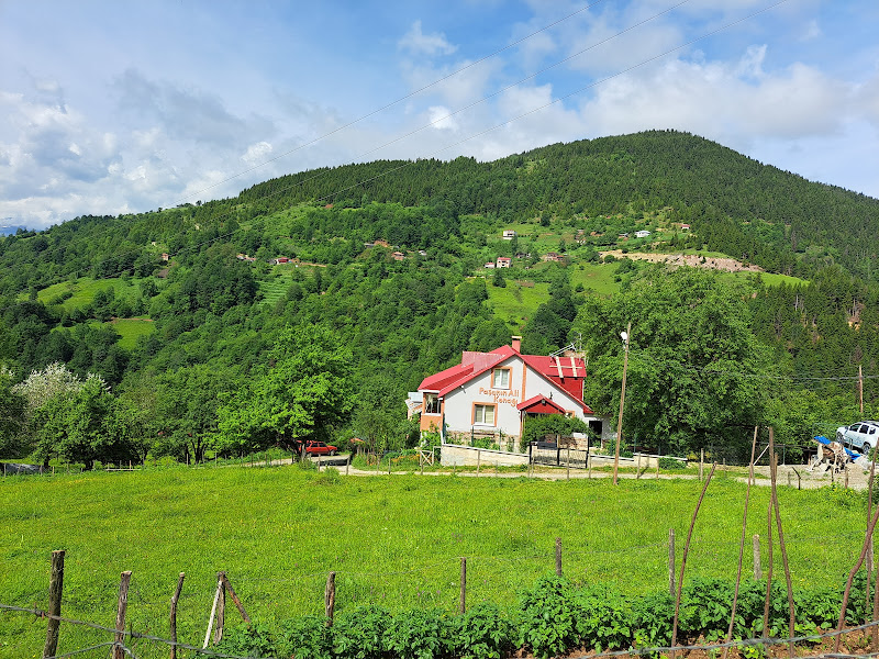 Paşanın Ali Konağı Apart